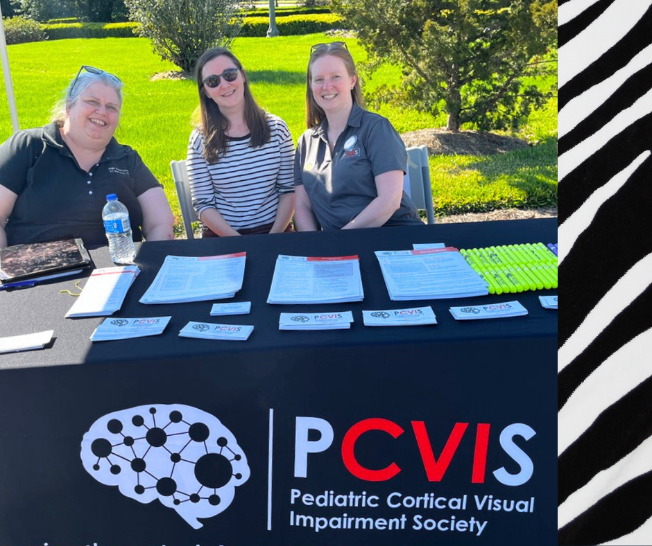 PCVIS advocates discussing educational curriculum